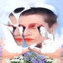 El Perro Del Mar "Kokoro" music album review